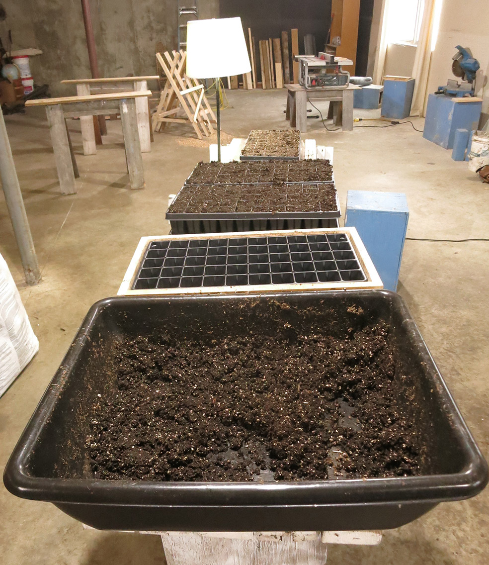 seed planting station