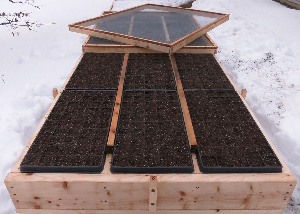 tree seedling planter trays in mouse proof racks
